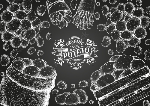 Potato vector illustration. Box and bag of potatoes. French fries, rustic potatoes and chips hand drawn. Engraved style frame.