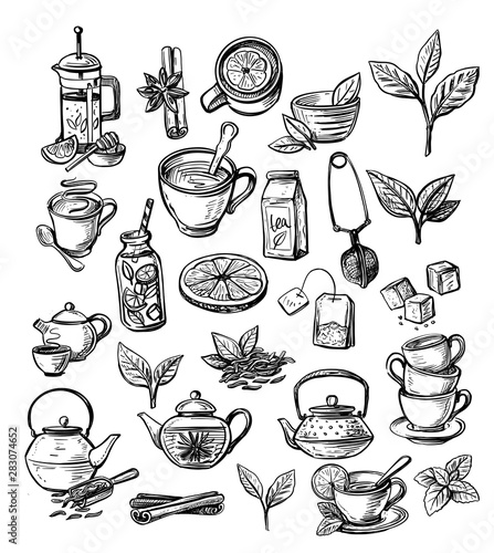 Vector collection of hand drawn tea
