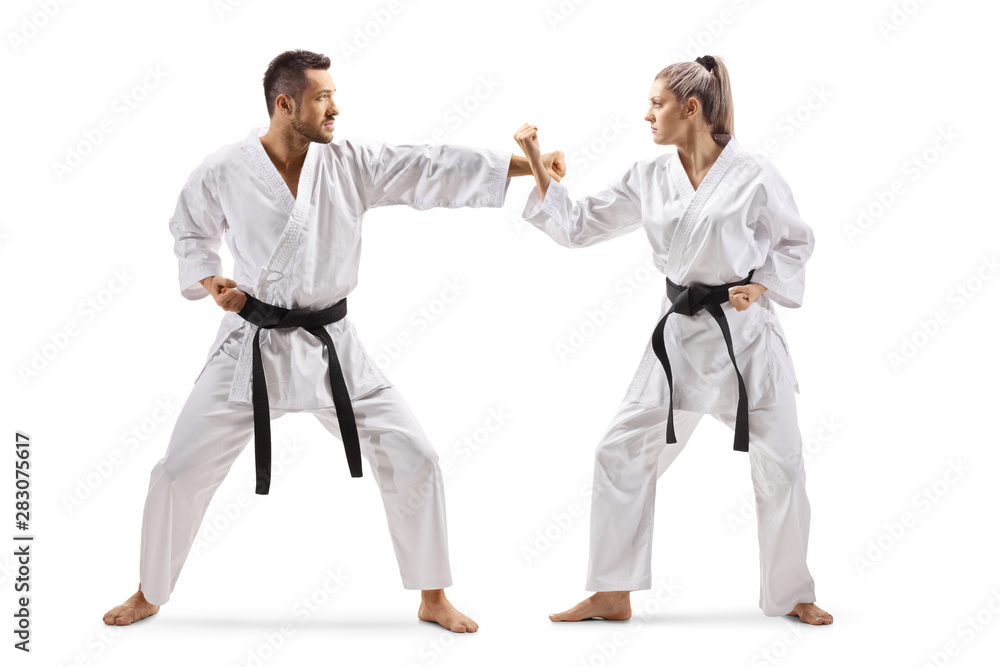 Man and woman practicing karate Man and woman practicing karate