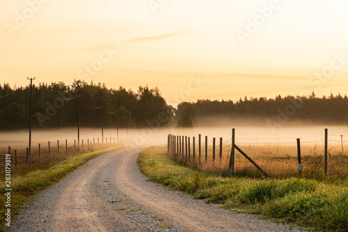 Dirt road leading to fog and sunrise during sunrise