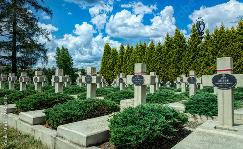 Stone crosses of the old military cemetery at the Lychakiv cemetery in Lviv 