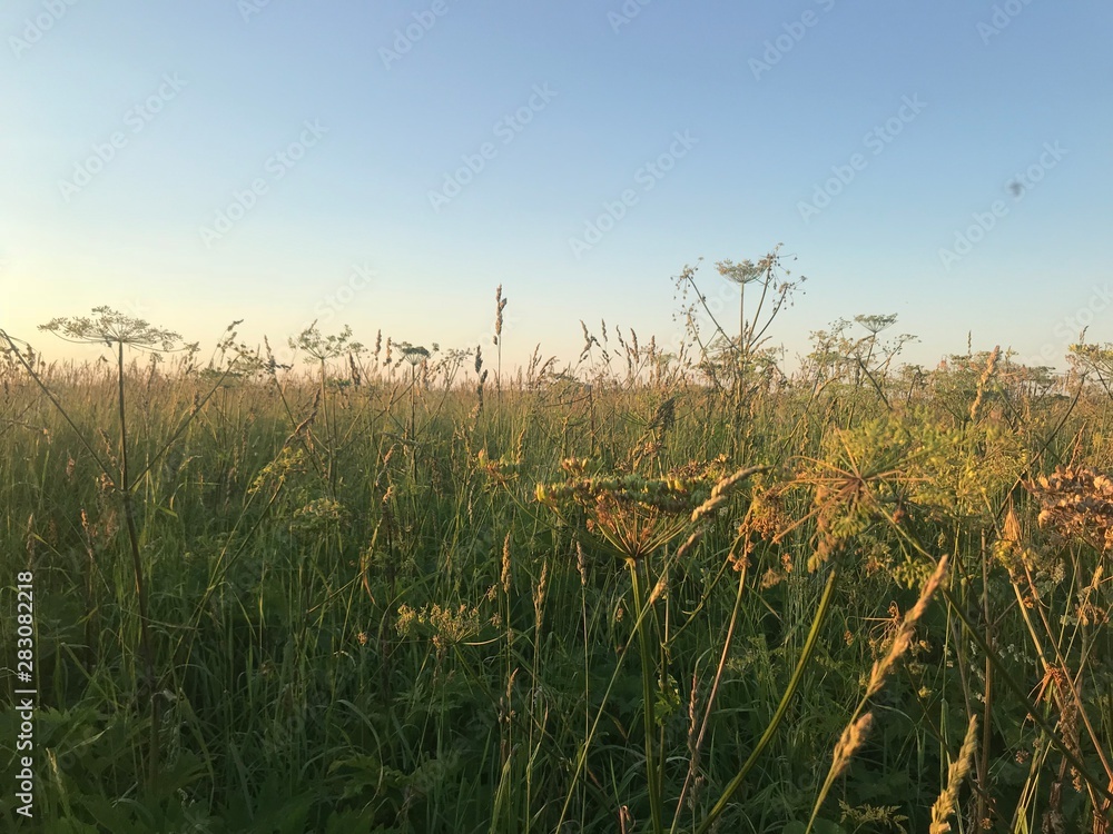 Fototapeta premium Noname 