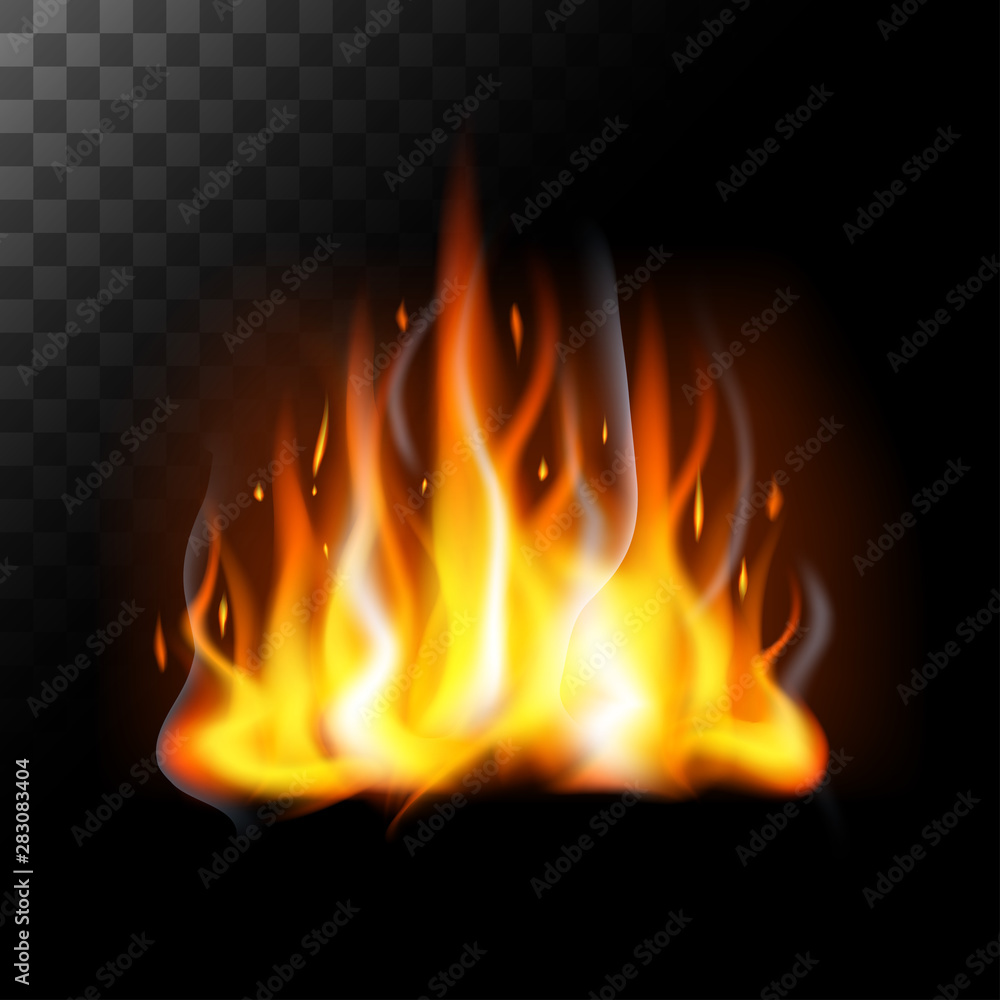 Realistic fire flames translucent Realistic fire flames translucent