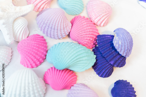 Painted seashells