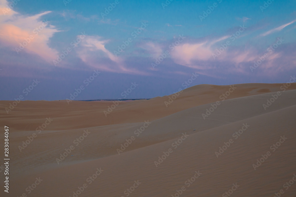 UAE. Desert  landscape