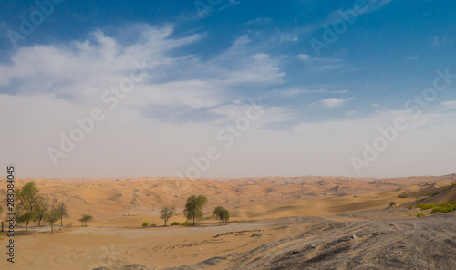 UAE. Desert landscape