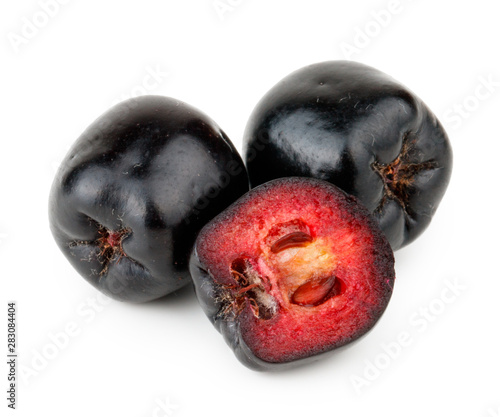 Aronia melanocarpa (black chokeberry) isolated on white background photo