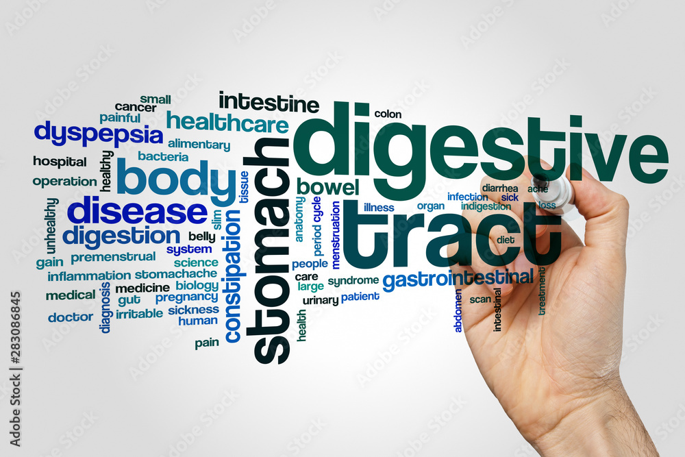 Digestive tract word cloud concept on grey background Digestive tract word cloud concept on grey background