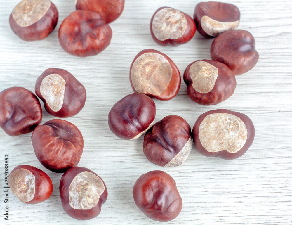 Many chestnuts are randomly scattered on a white wooden table. Top view. Many chestnuts are randomly scattered on a white wooden table. Top view.