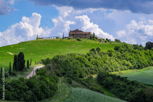 The rolling hills and green fields at sunrise in Tuscany. Italy