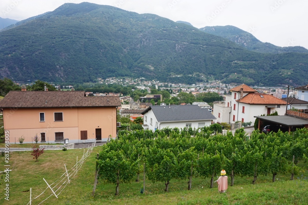 Panorama of the town of Bellinzona and the castle in Switzerland from the observation deck