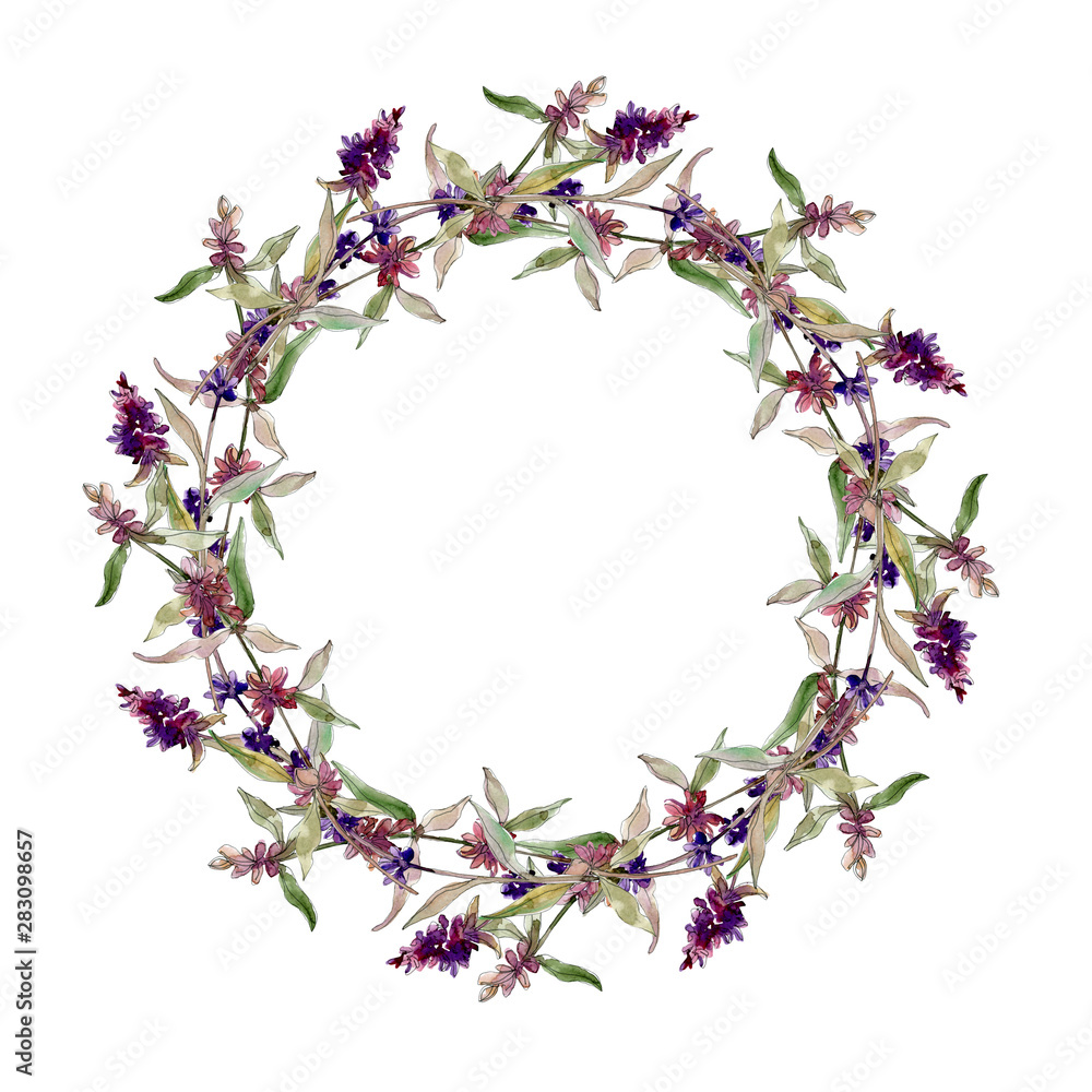 Purple lavender floral botanical flowers. Watercolor background illustration set. Frame border ornament square.