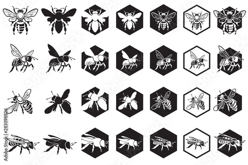 monochrome collection of bees and honeycombs isolated on white background