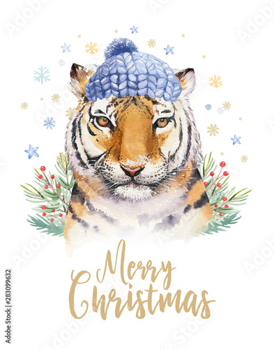 Merry Christmas watercolor lettering with isolated cute cartoon watercolor fun Siberian tiger illustration. Hand drawing new year holiday greeting card. © kris_art
