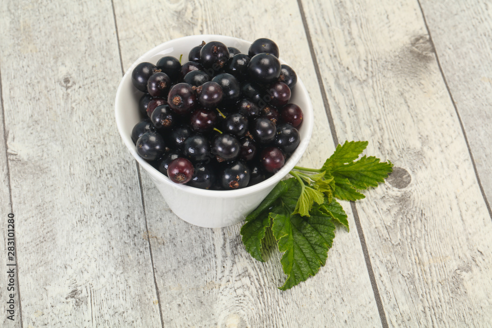 Fresh ripe sweet black currant Fresh ripe sweet black currant