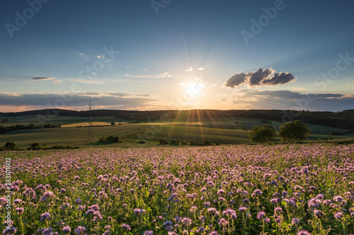 The landscape in Low Saxony, Germany.