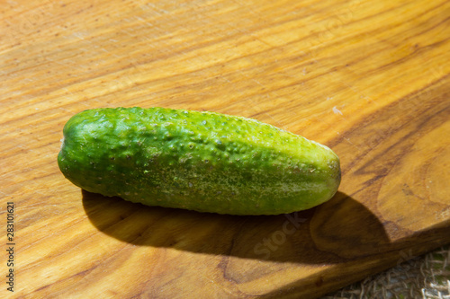 Cucumber