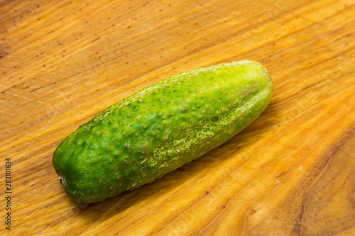 Cucumber