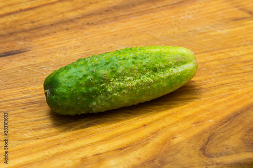 Cucumber