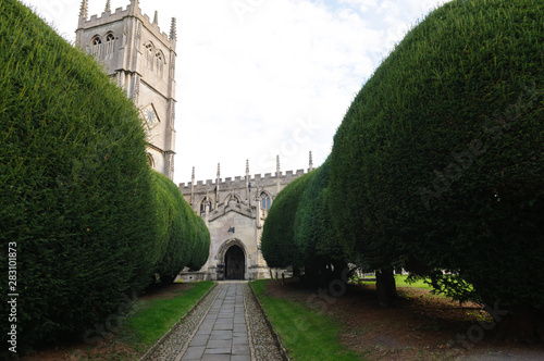 Yew tree lined path to St Mary's Church, Calne, Wiltshire. photo
