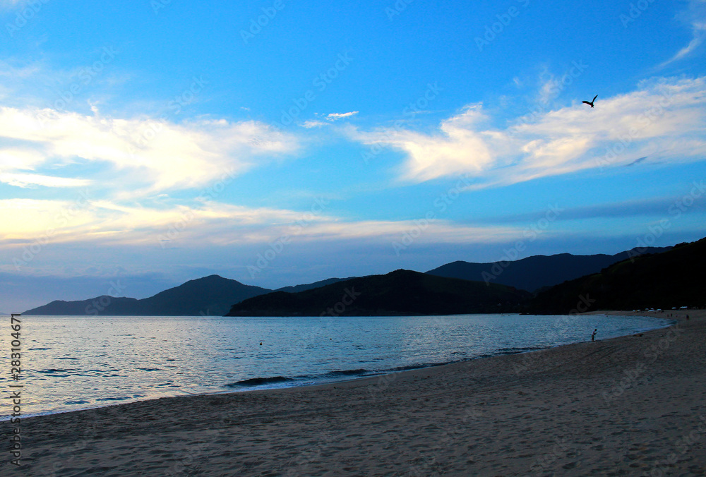 Fototapeta premium Guaecá