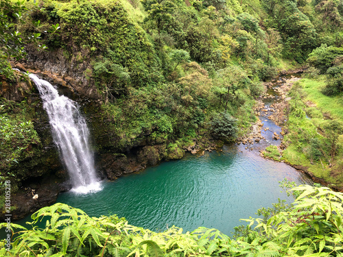 A hidden waterfall in Maui Hawaii