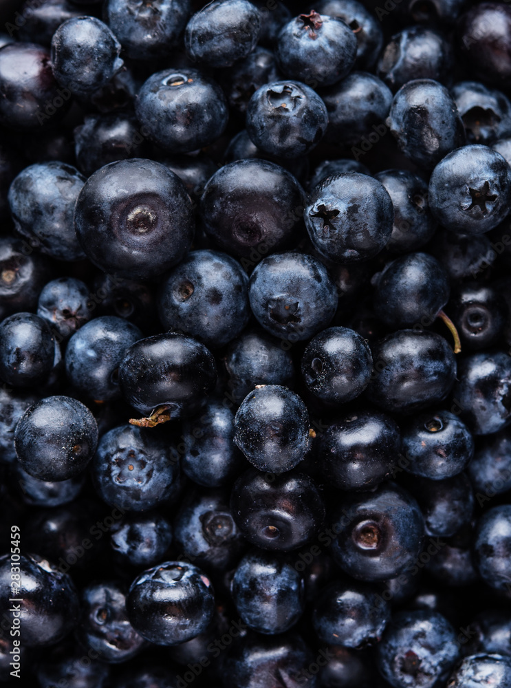 sweet fresh blueberry macro pattern top view copy space texture blue color sweet fresh blueberry macro pattern top view copy space texture blue color