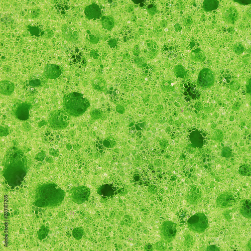 bright green texture cellulose foam sponge. Background.