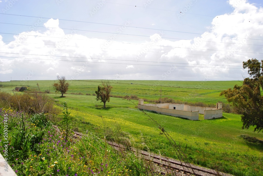 Obraz premium Bucolique, algerie 