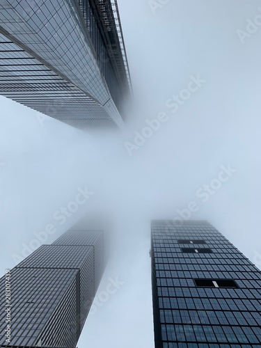 skyscrapers in the city