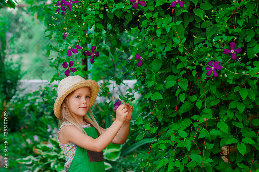 Little girl taking care of the clematis flower in the garden