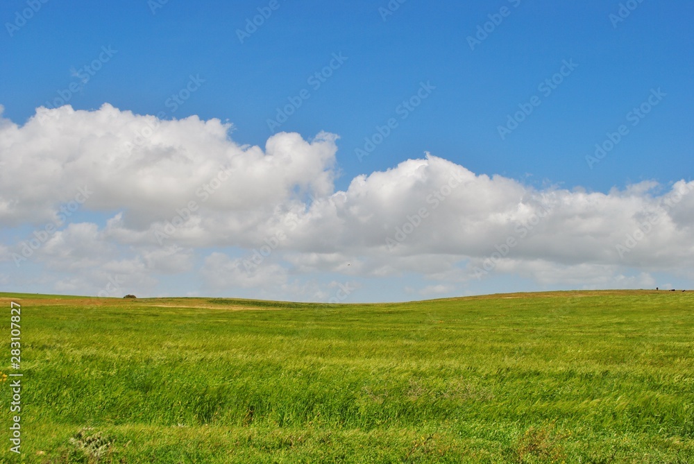 Couleurs du printemps, paysage prntanier, algerie Couleurs du printemps, paysage prntanier, algerie
