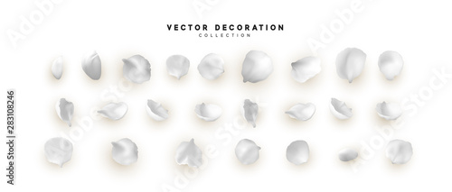 Flower petals realistic set isolated on white background. Vector petals