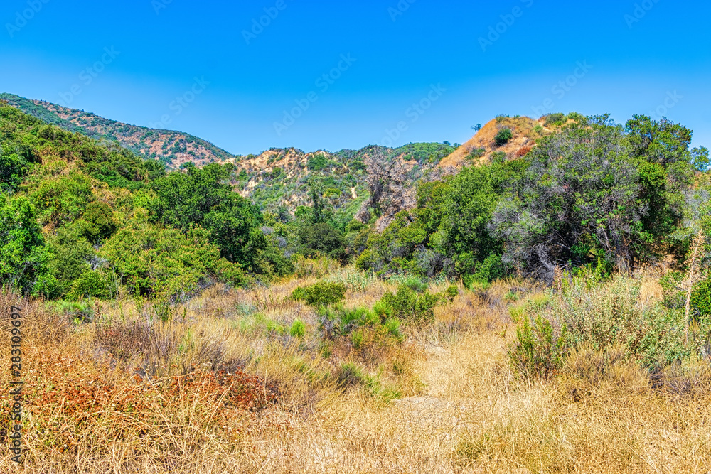 landscape in the mountains with hiking trails