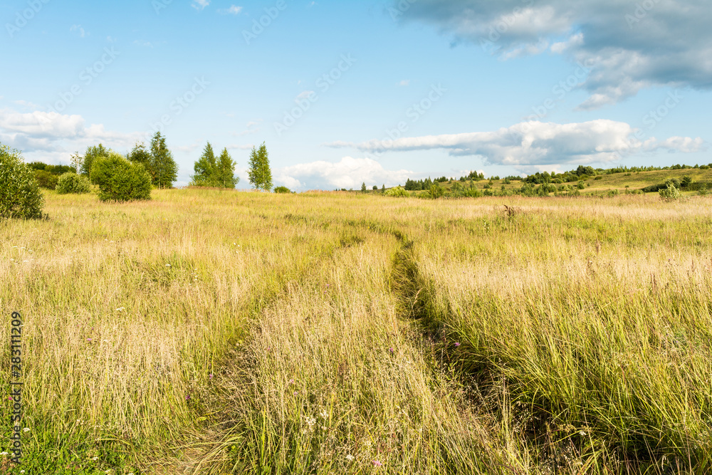 the valley with dry grass bushes and conifers, sunny summer day, blue sky with clouds, track in the grass