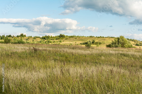 the valley with dry grass bushes and conifers, sunny summer day, blue sky with clouds