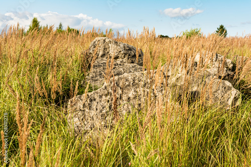 boulders in the grass, a valley with dry grass and large stones, sunny summer day, blue sky with clouds