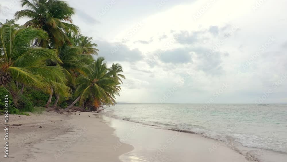 Wild palm beach of the Caribbean Sea on a cloudy evening. The gray waves of the Atlantic roll over to the sandy tropical coast. Beautiful exotic landscape. Wild palm beach of the Caribbean Sea on a cloudy evening. The gray waves of the Atlantic roll over to the sandy tropical coast. Beautiful exotic landscape.