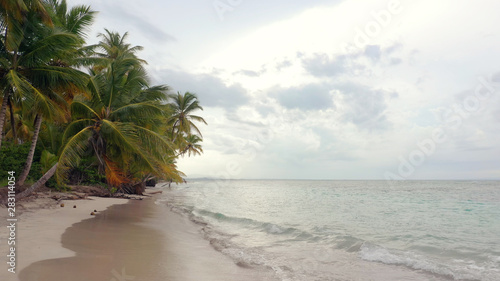 Landscape of the Caribbean Sea near a palm beach in the Dominican Republic. Calm waves on white sand. Deserted beach in the early morning. Wildlife. Relaxation by the sea.