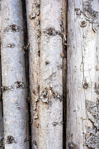 Old Grunge Wooden Background Texture photo