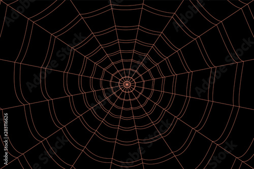 concentric white web on a gray background