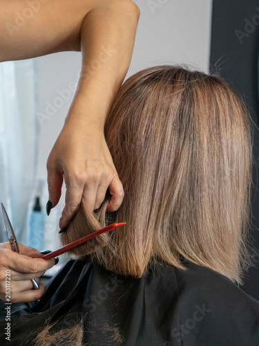Hairdresser cuts hair. On a black and white background. Scissors and comb in the hands of the master. Hairstyle. Beauty saloon.