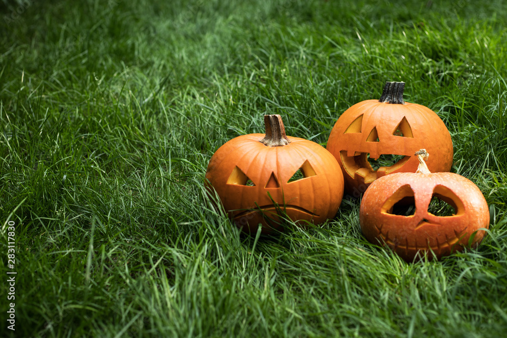 Obraz premium jack-o-lantern, halloween carved pumpkin