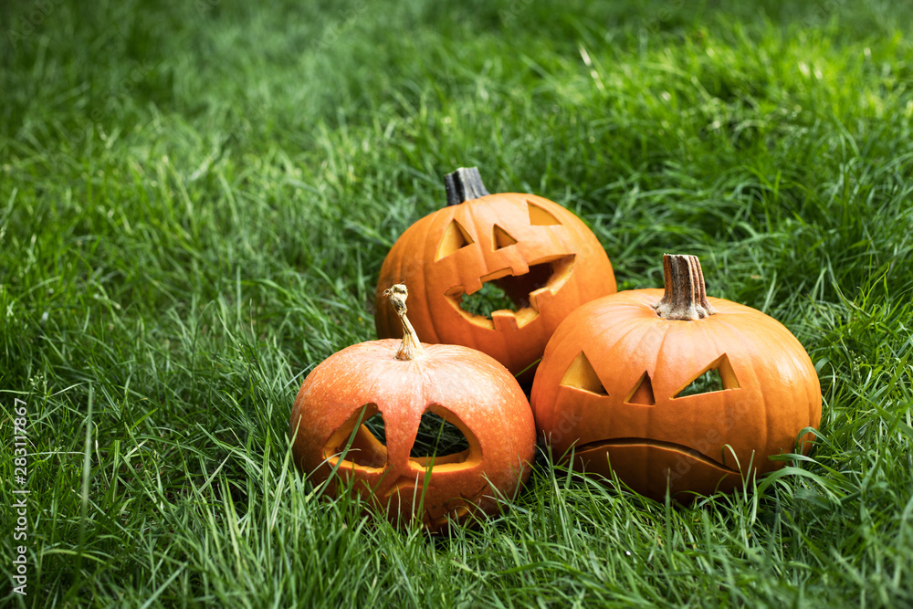 Obraz premium jack-o-lantern, halloween carved pumpkin