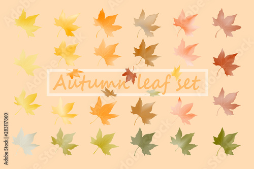 pastel color autumn leaves sets
