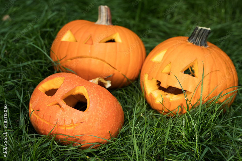 Obraz premium jack-o-lantern, halloween carved pumpkin
