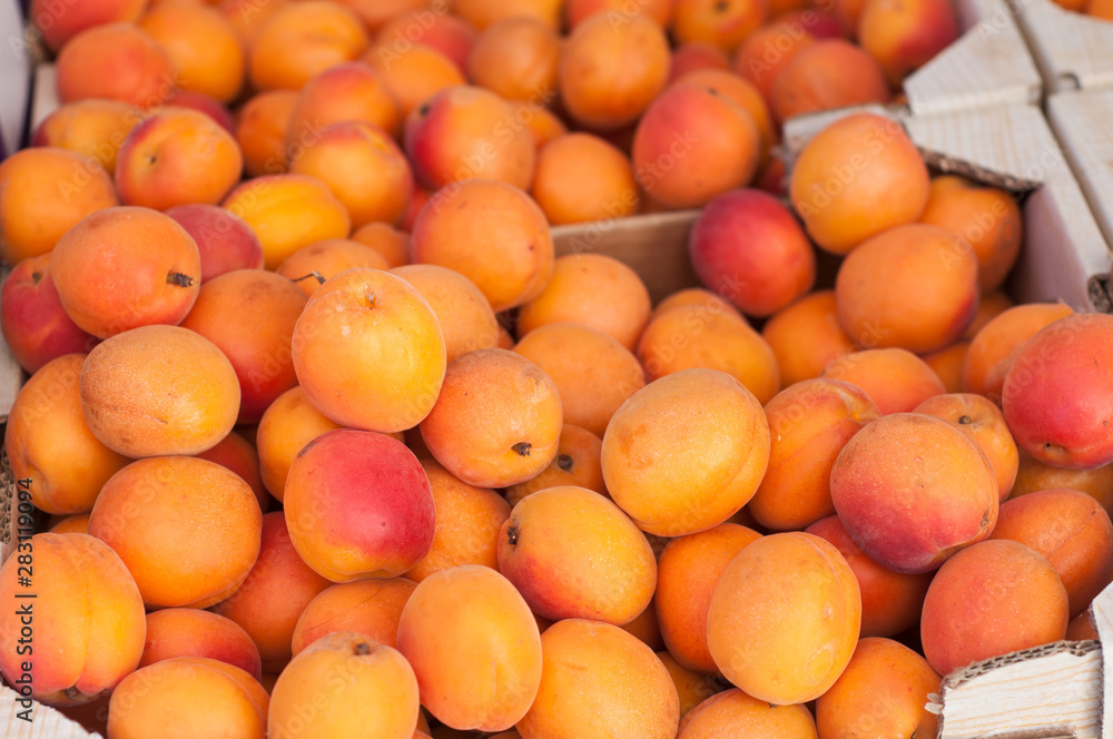 Closeup of organic apricots at the market