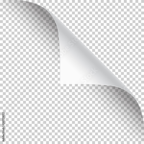 Curled page corner with shadow on transparent background. Blank sheet of paper. Vector illustration. photo