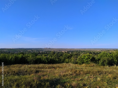 landscape with trees and blue sky