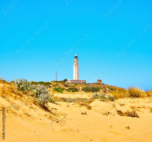 The Cabo de Trafalgar Cape Natural Park with the famous Lighthouse in the background. Barbate  Los Ca  os de Meca  Cadiz. Andalusia  Spain.